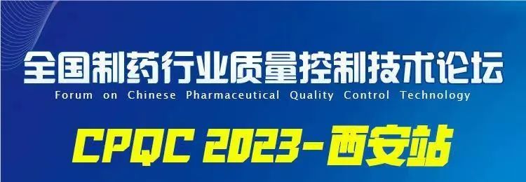 202374